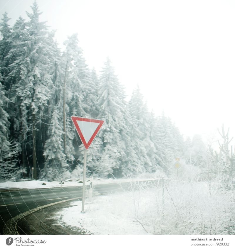 sign Environment Nature Clouds Winter Bad weather Snow Snowfall Tree Forest Transport Traffic infrastructure Road traffic Crossroads Road sign Dirty Dark Cold