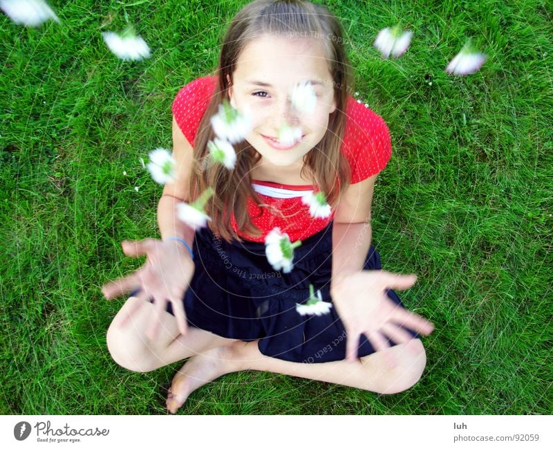 Summer rain. 3 Daisy Green Grass Flower Multicoloured Spring Sweet White Jump Red Black Happiness Healthy Fairy tale Fantastic Child Youth (Young adults) Girl