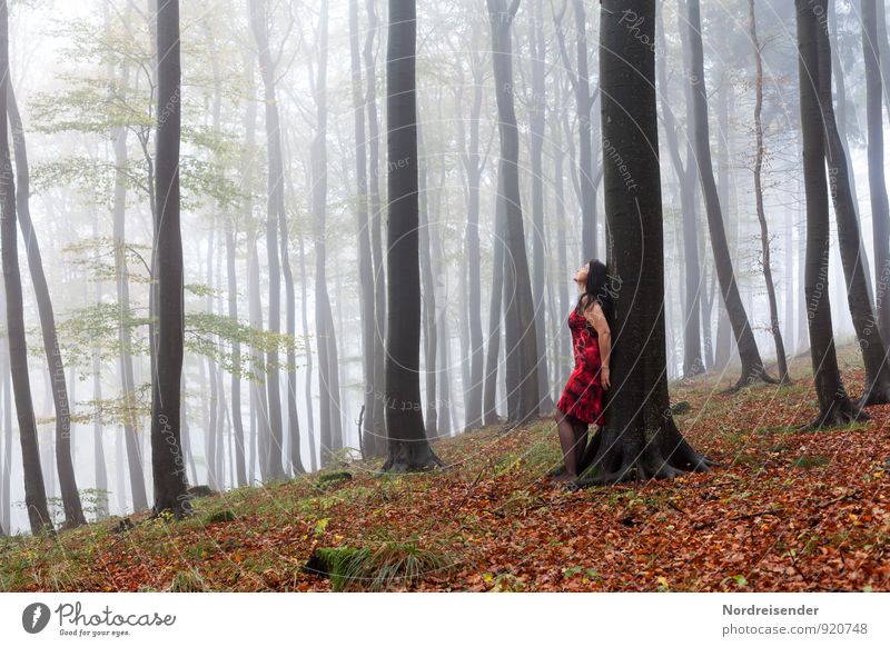 Young woman in a misty forest Lifestyle Joy Harmonious Well-being Senses Relaxation Calm Meditation Trip Human being Feminine Woman Adults 1 Nature Landscape