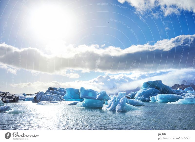 Lake with ice floes in Iceland Ice floe Ice sheet ice melting Iceberg Blue Glacier ice Glacial melt Lakes Climate Climate change Climate protection