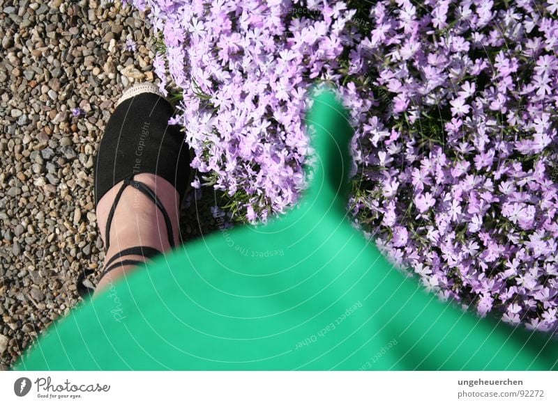 "Summer dress in the wind" Flower Footwear Emotions Dress Green Violet Sandal Gravel Blossom Gale Woman Wind