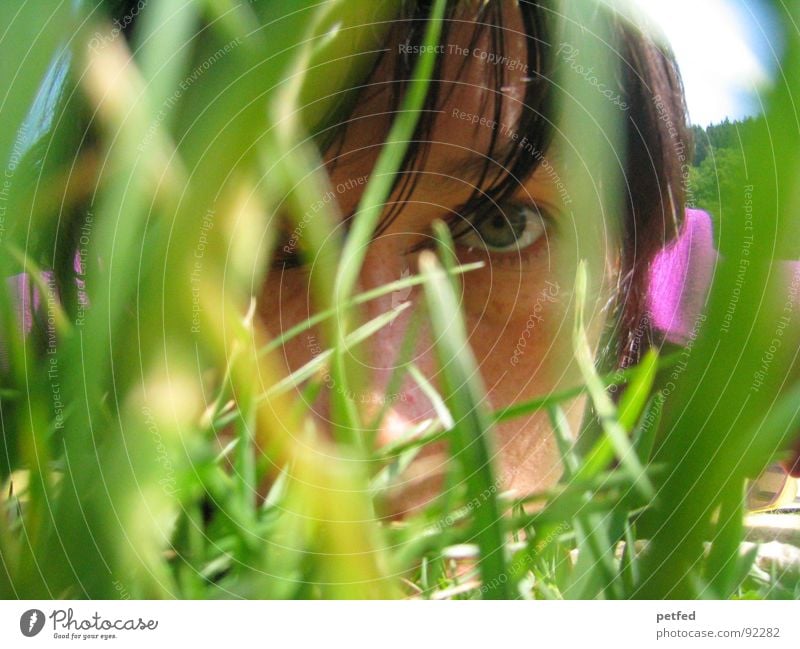 permeation Grass Summer Violet Green Permeate Emotions Concentrate Eyes Hair and hairstyles Looking Face Human being