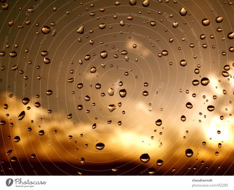 Window bubble in gold Rain Window pane Clouds Cute Dirty Brown Reflection Vantage point Dreary Light Yellow Bronze Progress Bright Grief Inject Water