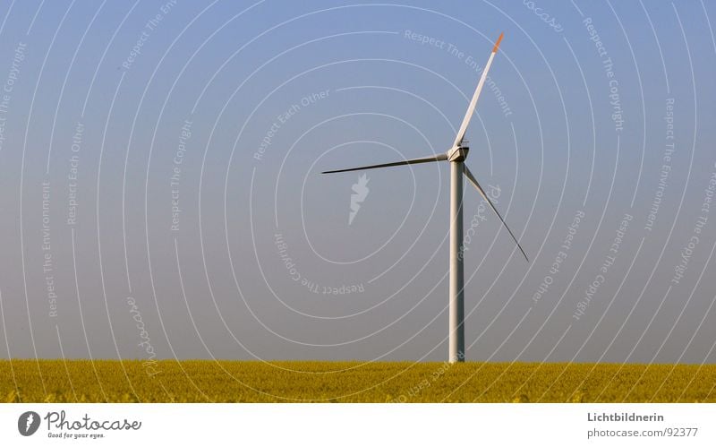 wind turbine Wind energy plant Generator Canola field Agriculture Sky blue Spring Energy industry rotary motion Rotor wind energy converter