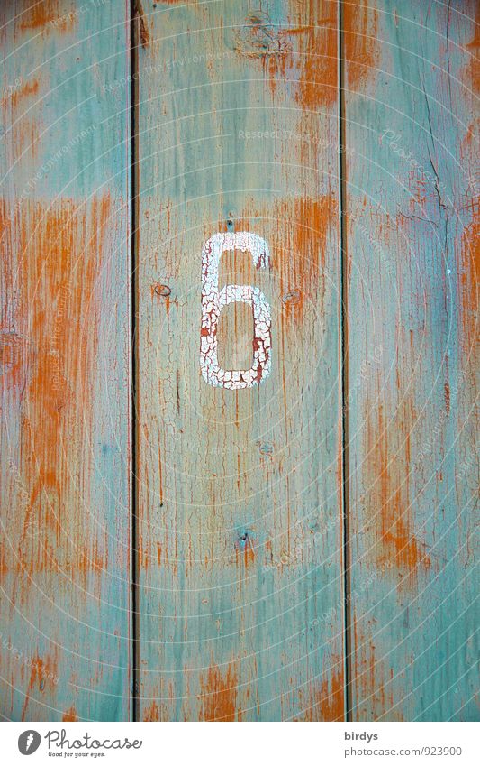 shabby 6 Wall (barrier) Wall (building) Wooden board Wooden door Digits and numbers Original Retro Orange Turquoise Senior citizen Change Weathered