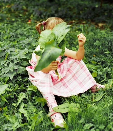 contrasts Child Girl Dress Pink Checkered Grass Leaf Stinging nettle Green Playing Contrast Sit Clothing leaves play Weed Medicinal plant