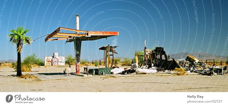Never again gasoline... Petrol station Gasoline Spirit Ruin Terminus Drought Palm tree Derelict Grief USA Desert never again Mad Max Sky blue sky. refuel