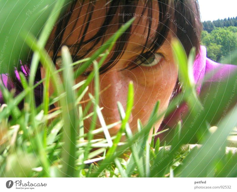 Penetration II Green Violet Grass Spring Emotions Face Eyes Looking