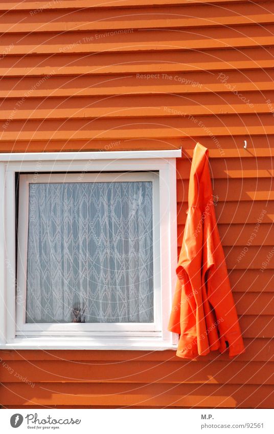 Pure orange! Orange White Window House (Residential Structure) Jacket Frame Graphic Contrast Colour Multicoloured Helgoland Fishery Hut Wood Across Hang Curtain