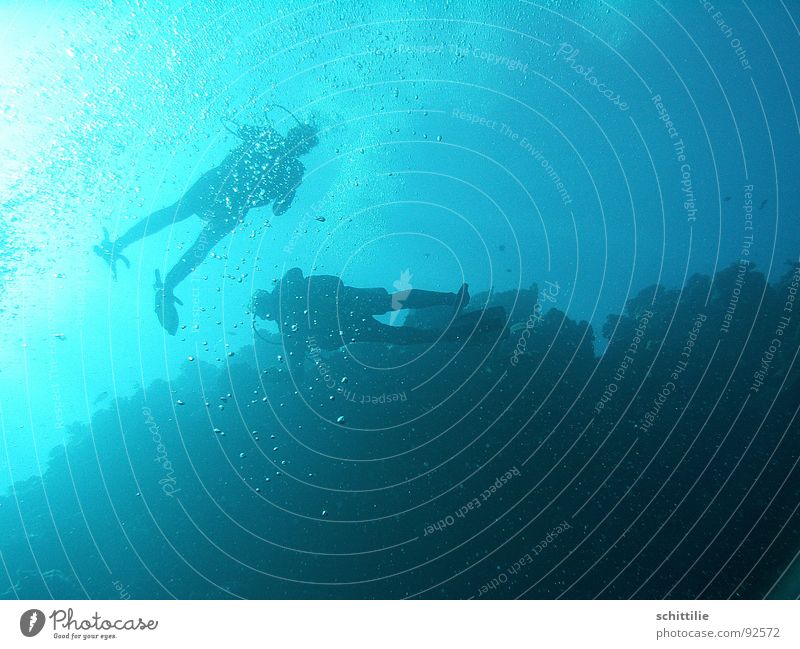 DeepBlueSea Diver Ocean Air Light Aquatics Man Water Blow Sun