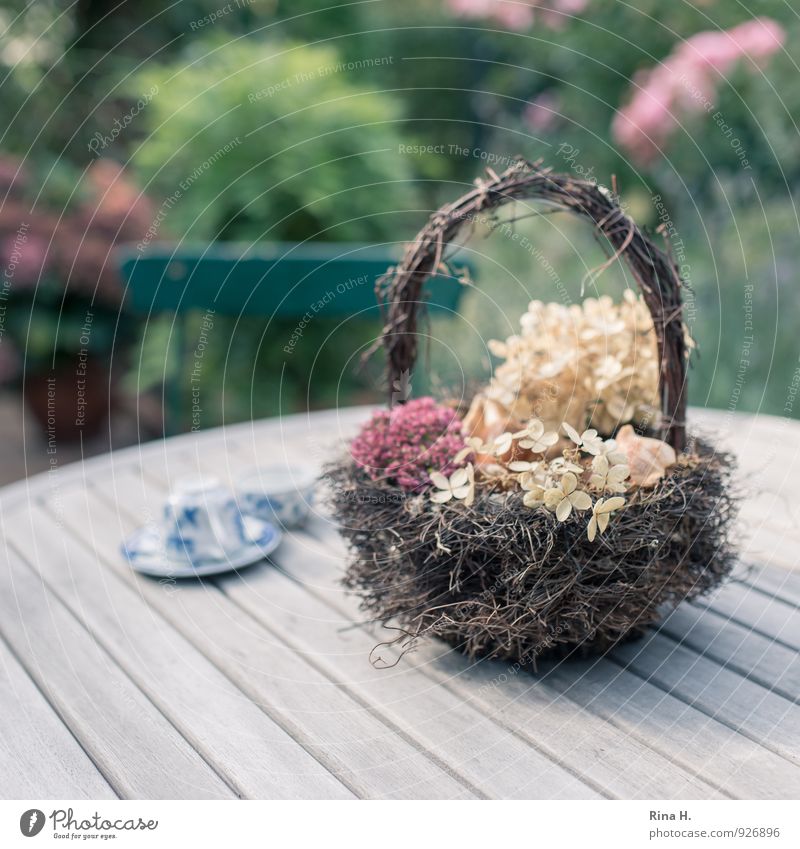 AutumnStill Faded To dry up Transience Still Life Wooden table Autumnal Basket Hydrangea blossom Sedum mocha cup Cup Garden chair Exterior shot Colour photo
