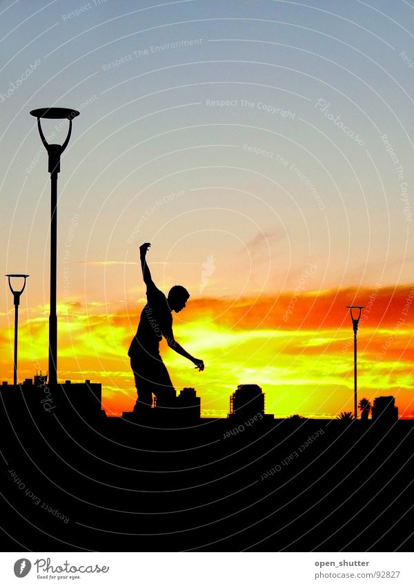 sunset skater Sunset Skateboarding Contentment Playing Summer Cape Town lights Silhouette