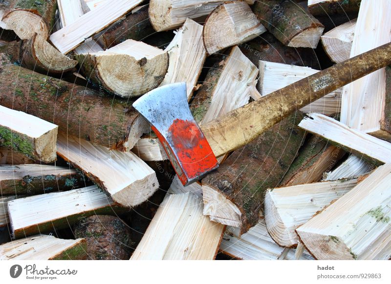 logs Axe Forest Wood Blue Firewood Stack of wood Open fire Blaze Tree trunk Colour photo Exterior shot Deserted Long shot