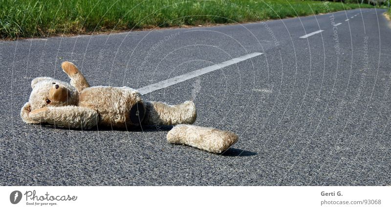 *wink Accident First Aid Doomed Traffic accident Asphalt Middle of the road Tracks Animal Cuddly toy Teddy bear Toys Median strip Amazed Roadside Obscure