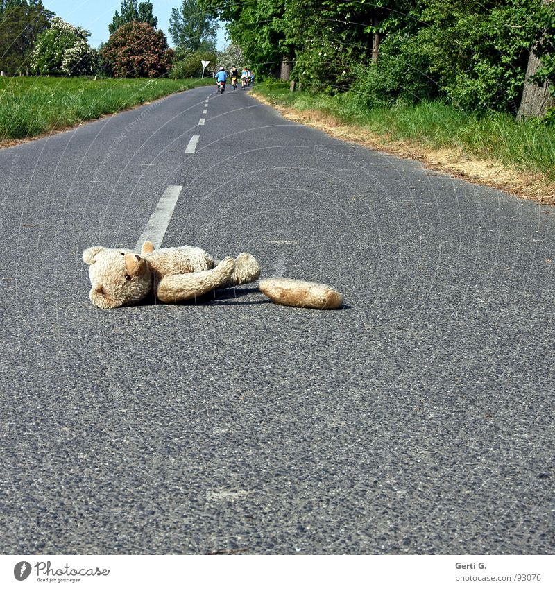 hit and run Flee Depart Droop Accident First Aid Doomed Traffic accident Asphalt Middle of the road Tracks Animal Cuddly toy Teddy bear Toys Median strip Amazed