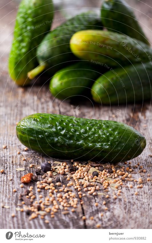 silly season Food Vegetable Cheap Good Cucumber Gherkin pot Conserve Mustard seed juniper berry Herbs and spices Rustic Raw Food photograph pickled gherkin
