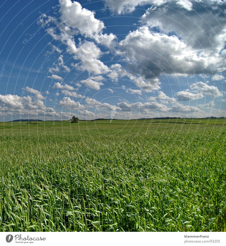 Life Field Hope Grass Horizon Clouds Sky Bad weather Calm Loneliness Serene Landscape Wide angle Green Background picture Nutrition Provision Infinity Railroad