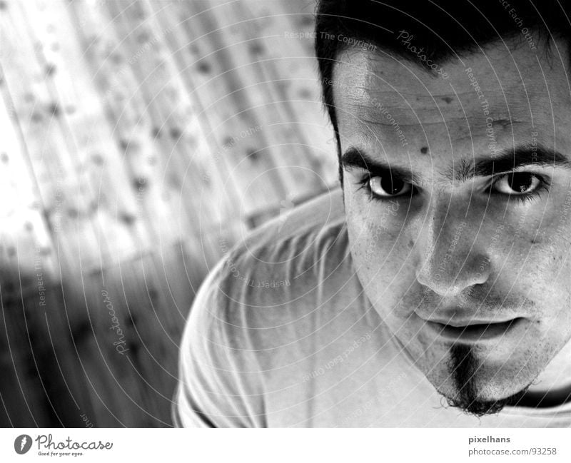 a look to heaven's gate Young man 18 - 30 years Self portrait Looking into the camera Goatee Partially visible Copy Space left Face of a man Men's eyes Eyebrow