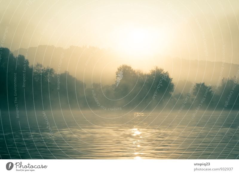 Morning mist at the river Nature Landscape Water Sunrise Sunset Sunlight Fog River bank Brown Yellow Gold Silver Force Peaceful Dream Loneliness Mysterious