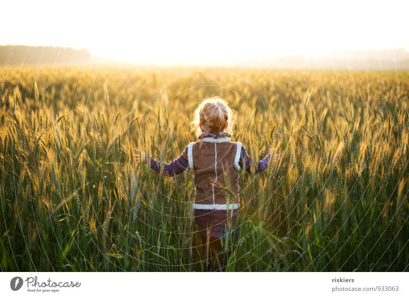 shining days Human being Feminine Child Girl Infancy 1 3 - 8 years Environment Nature Sunlight Autumn Beautiful weather Fog Field Touch Discover Relaxation