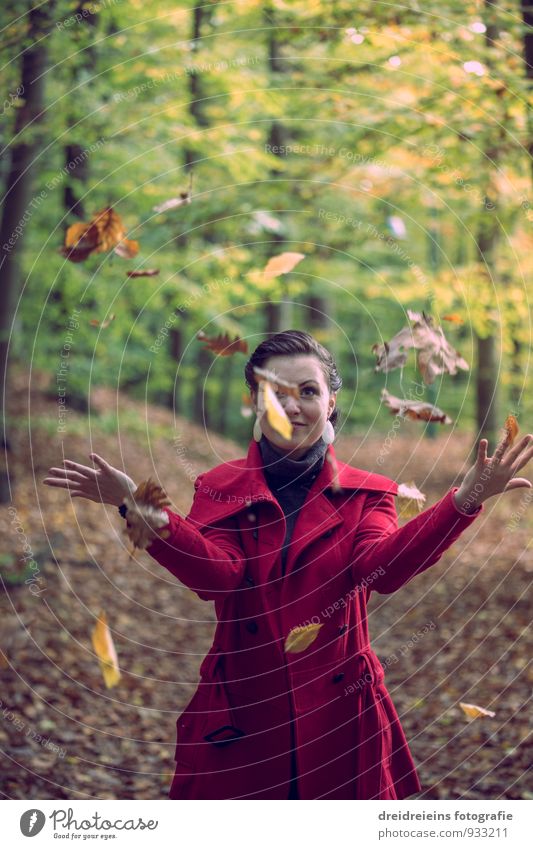 Fun & games in the autumnal forest of leaves Feminine Young woman Youth (Young adults) Woman Adults Nature Forest Jacket Friendliness Happiness Uniqueness