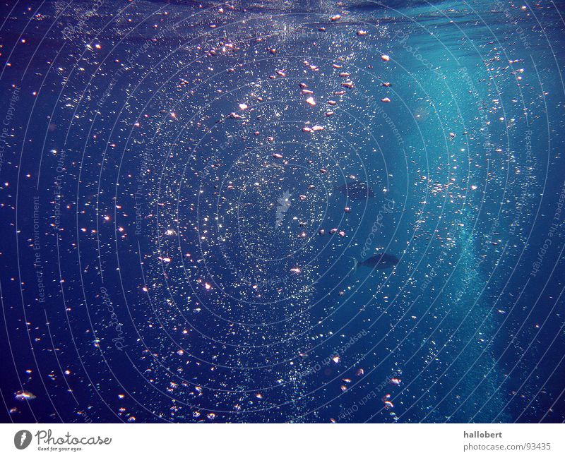 Maldives Water 03 Ocean Dive Snorkeling Waves Air bubble Underwater photo water from below sea from below
