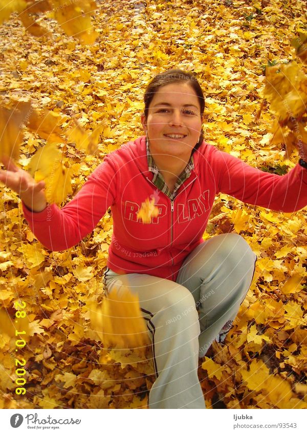 my autumn Autumn Joy - a Royalty Free Stock Photo from Photocase