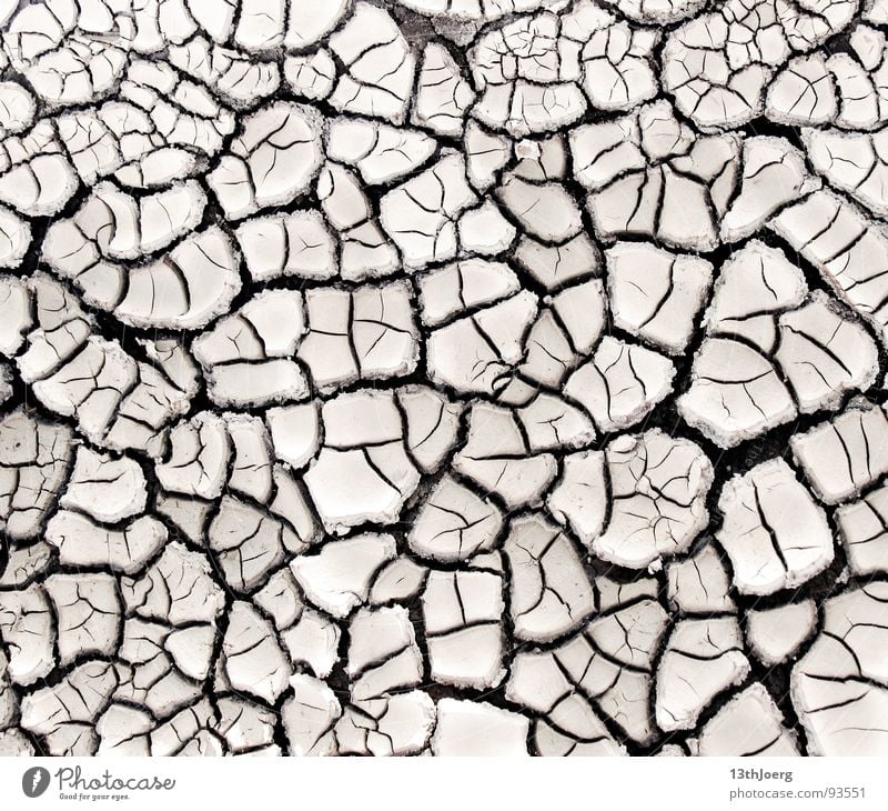 desert mosaic Physics Mosaic Formation Pattern Drought Summer To dry up Coincidence Crust Clod Environment Dry Thirsty Background picture Structures and shapes