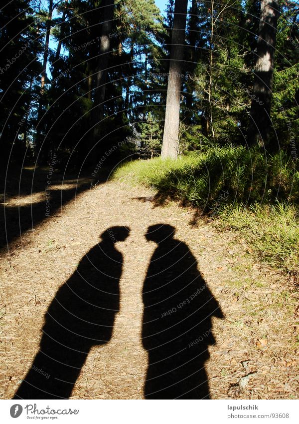 fluffier Forest Estonia Green Spruce Physics Mysterious Exterior shot Love Spring frueling Couple people Shadow discussion Warmth Nature In pairs Lovers
