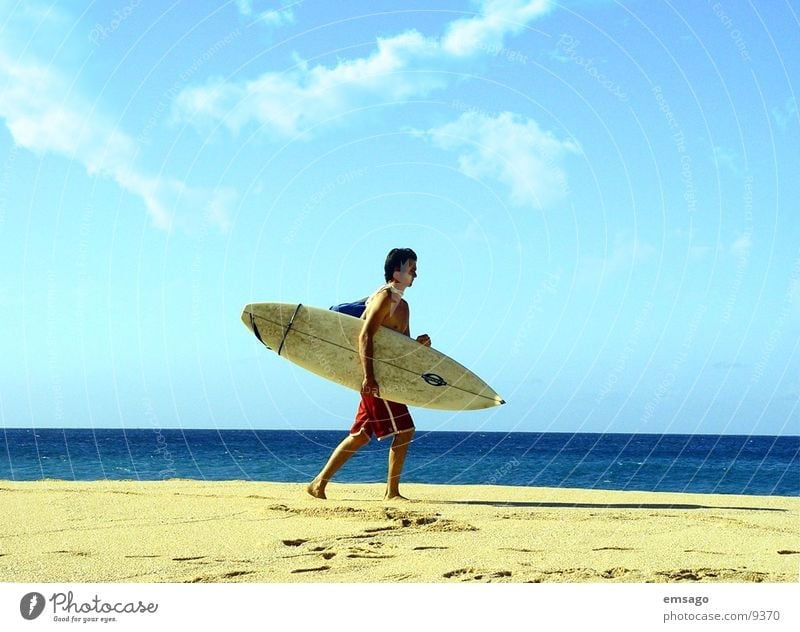 surfer Surfer Horizon Beach Ocean Hawaii Surfing Surfboard Extreme sports Sky