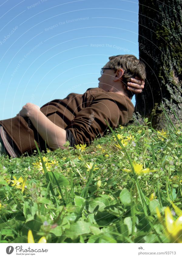 single circuit Tree Meadow Lean Dreamily Fellow Man Spring Relaxation Inattentive Single Sky Blue Beautiful weather