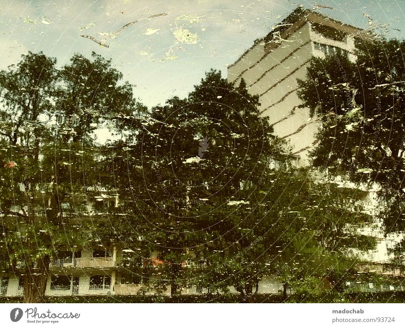 UNFORGETTABLE Transience Temporary Wet Fluid Reflection House (Residential Structure) High-rise Tree Nature Town Building Facade Painting and drawing (object)