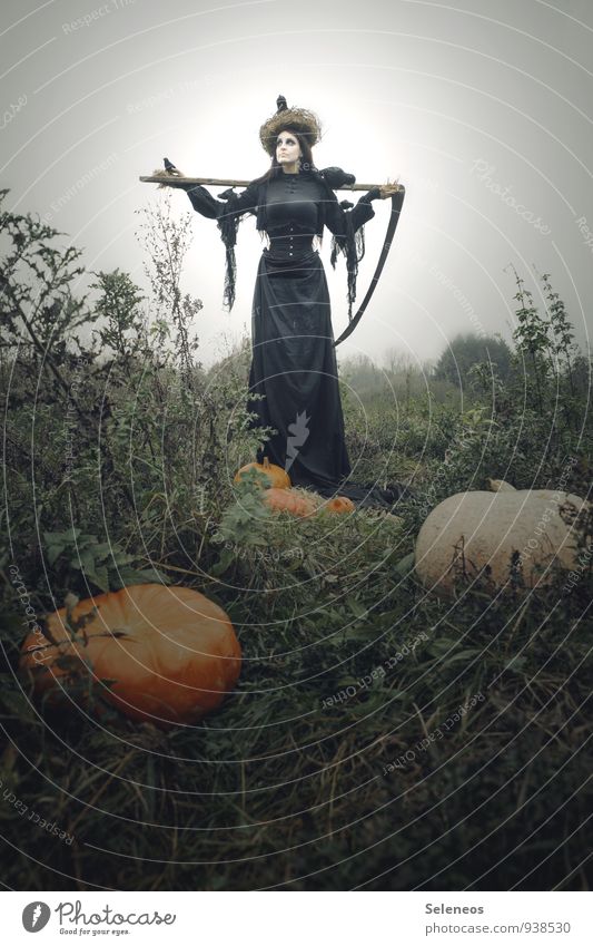 Halloween is coming Carnival Hallowe'en Human being Feminine Woman Adults 1 Autumn Agricultural crop Pumpkin Field Creepy Death Scythe The Grim Reaper Crow Nest