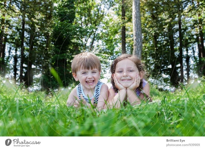 Happy children lie in the high grass Joy Trip Summer Tree Grass Meadow Forest Smiling Laughter Lie Illuminate Free Happiness Healthy Moody