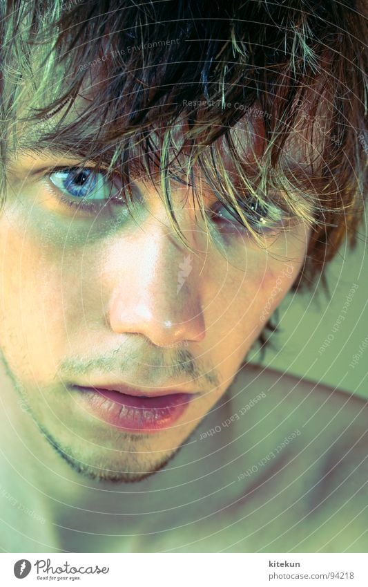 portrait number infinite Portrait photograph Man Facial hair Sozzled Wet Green Bathroom Lips Youth (Young adults) bearded Blue Eyes Hair and hairstyles