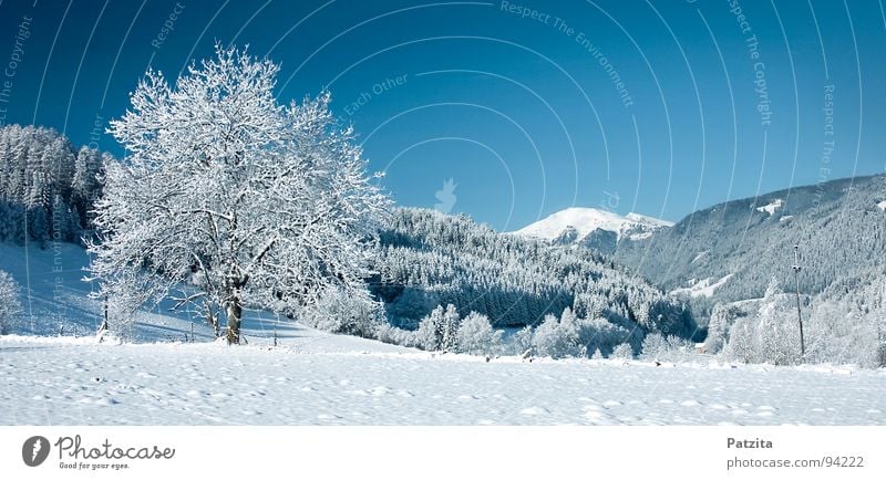 Dream in white and blue Winter Snowscape Panorama (View) Tree Meadow Field Cold Frozen Austria Federal State of Kärnten Peace Landscape Sky Mountain Blue Ice