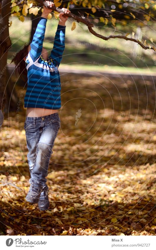 hang out Leisure and hobbies Playing Children's game Trip Garden Climbing Mountaineering Human being Masculine Infancy 1 3 - 8 years Nature Autumn