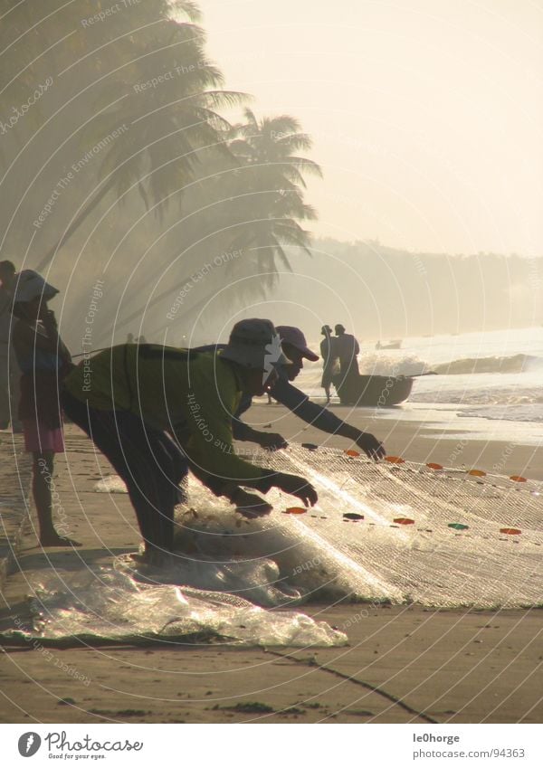 small fishing Asia Vietnam Beach Palm tree Man Morning Sunrise Work and employment Portrait format Services Fish Net