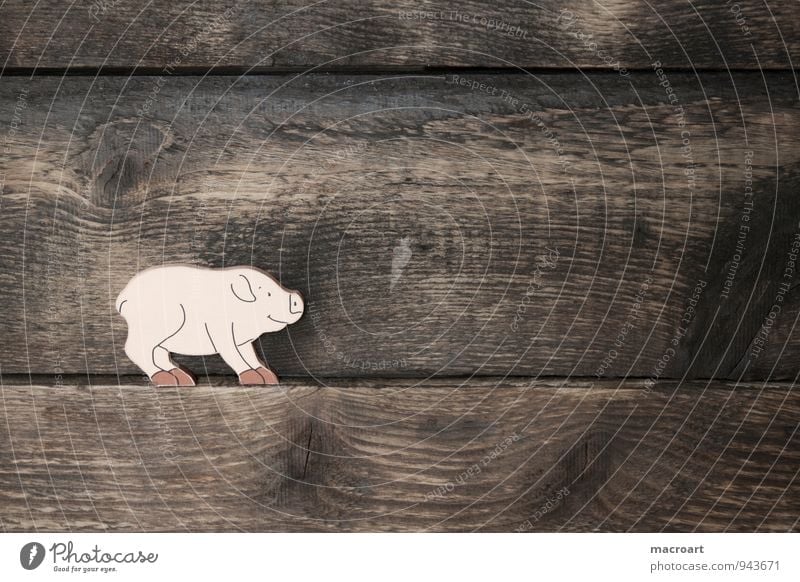 Had a rough time Swine Piglet Happy Symbols and metaphors Good luck charm Wood Background picture Animal Wood work Fat Overweight Wooden board