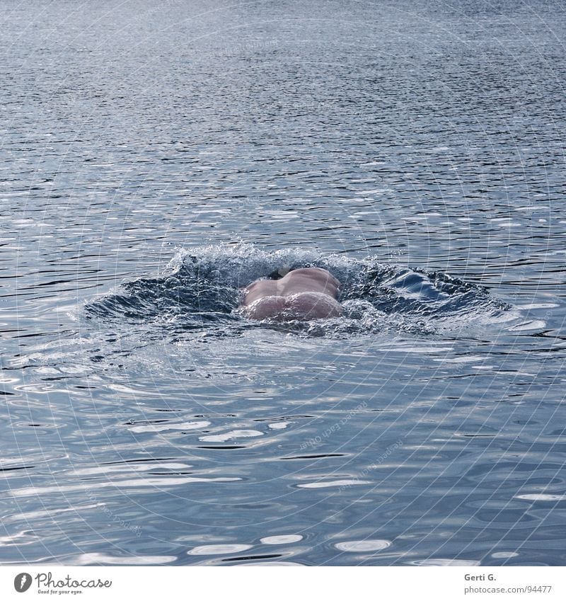 paddledabble Man Naked Human being Dive Emerge Surface tension Torrents of water Rear view Hind quarters Lake Healthy Sports Refreshment Refrigeration Playing