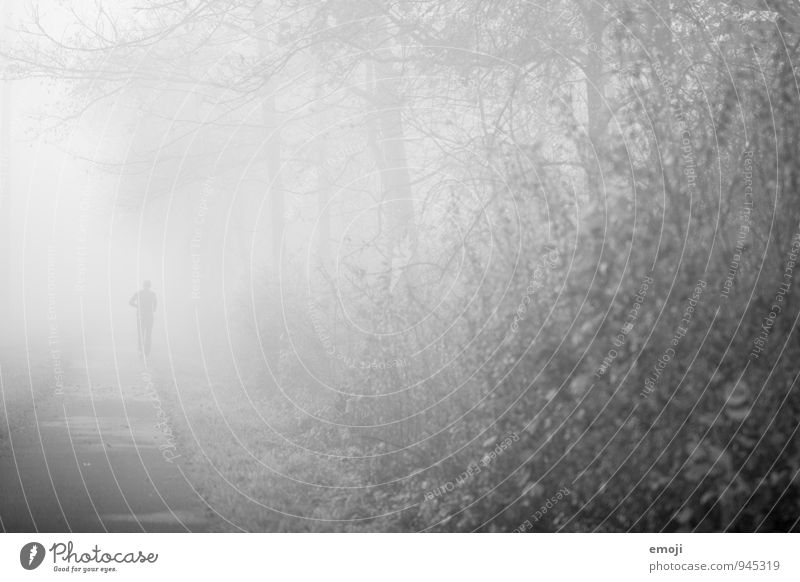 Coming and going Human being 1 Environment Nature Landscape Autumn Bad weather Fog Gray Loneliness Individual Black & white photo Exterior shot Day