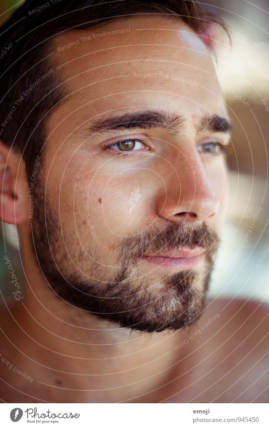 summer tan Masculine Young man Youth (Young adults) Adults Face 1 Human being 18 - 30 years Beautiful Brown Sunbathing Designer stubble Facial hair Dark-haired