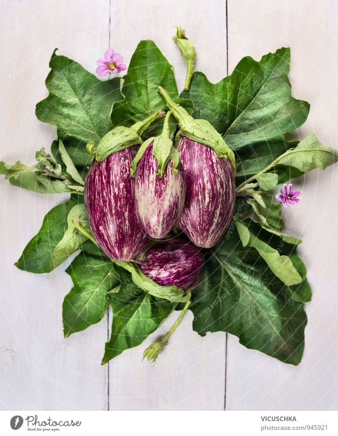 striped aubergines with leaves and blossoms Food Vegetable Healthy Eating Leisure and hobbies Summer Garden Nature Plant Good Green Violet White