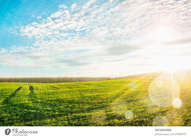 Morning landscape with green field in sunbeams Summer Environment Nature Landscape Plant Air Sky Clouds Horizon Sun Sunrise Sunset Sunlight Meadow Field Hill