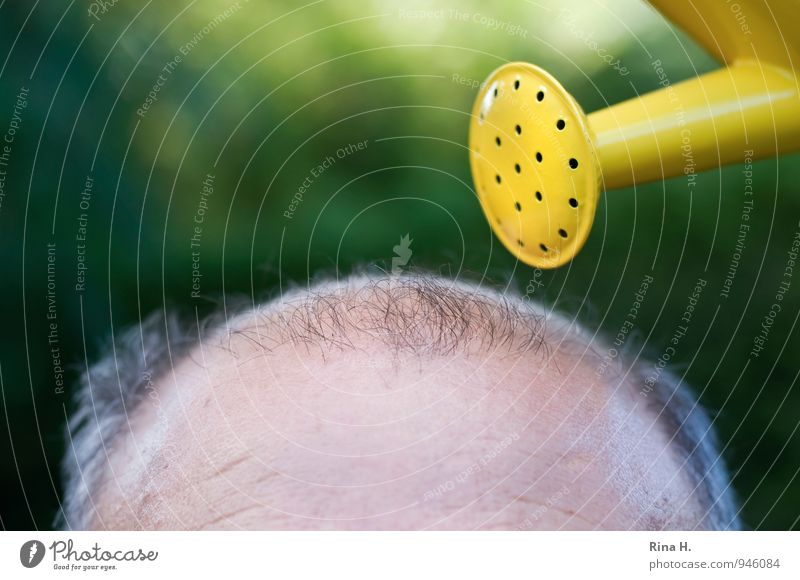 The last attempt III Beautiful Body Hair and hairstyles Skin Man Adults Male senior Head 60 years and older Senior citizen Bald or shaved head Watering can