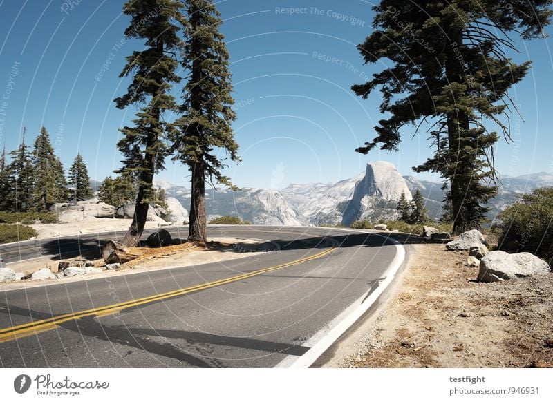 half dome Environment Nature Landscape Plant Animal Earth Sky Cloudless sky Sun Summer Beautiful weather Tree Park Forest Mountain Peak Traffic infrastructure