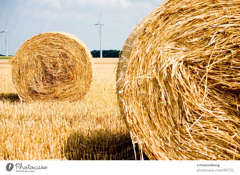 queued... Straw Bale of straw Yellow Wind energy plant Autumn Americas Landscape