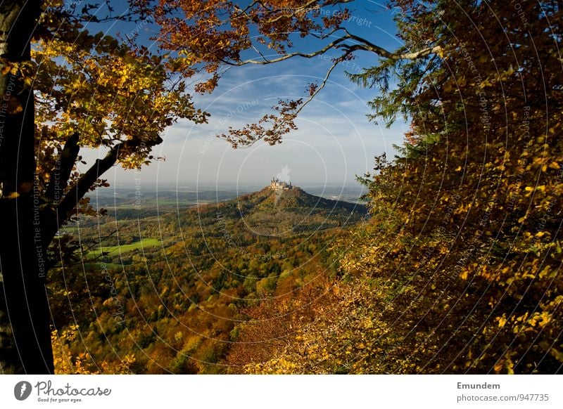 Hohenzollern I Vacation & Travel Tourism Hiking Nature Landscape Sky Sunlight Autumn Tree Forest Hill Germany Europe Deserted Castle Tourist Attraction Landmark