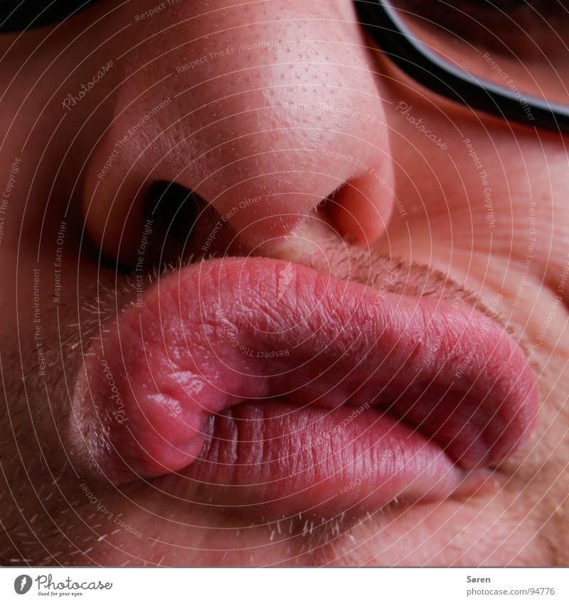 Thick lip Sulk Lips Smacker Pug nose Facial hair Grimace Face Oral Mouth Nose Designer stubble Funny Brash Distorted