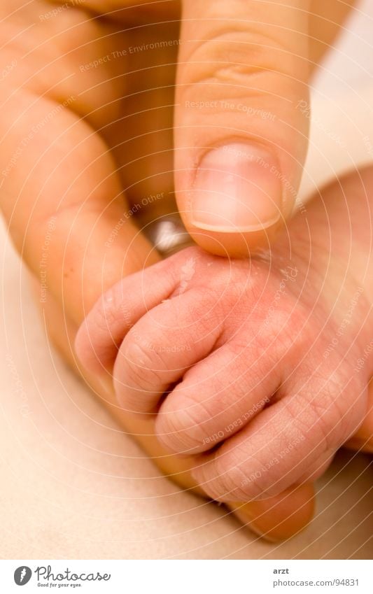 child's hand Hand Fingers Nail Fingernail Small Large Girl Mother To hold on Hold Safety (feeling of) Baby Toddler